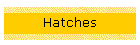 Hatches